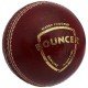 SG Cricket Leather Ball