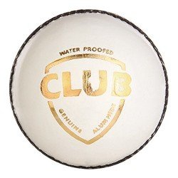 SG Club White Cricket Leather Ball