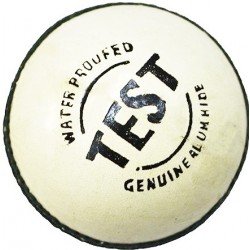 Gravity Cricket Leather Ball - White