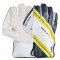 SG Wicket Keeping Gloves