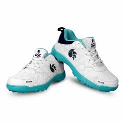 DSC Cricket Shoe