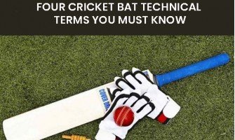 FOUR CRICKET BAT TECHNICAL TERMS YOU MUST KNOW
