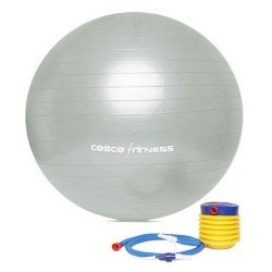 Cosco Gym Ball