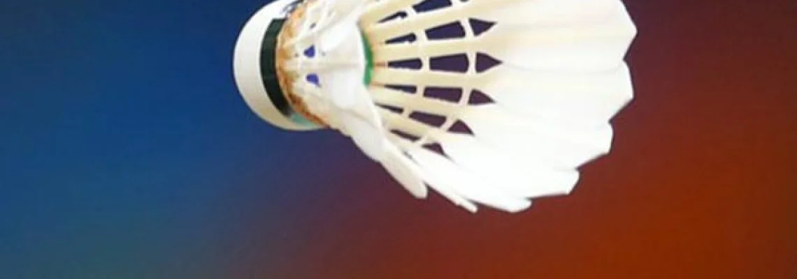 Types Of Badminton Shuttlecock