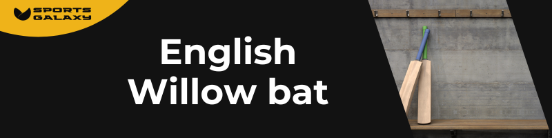 English Willow bat