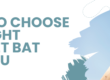 How to Choose the Right Cricket Bat for You