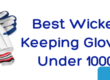 Best Wicket Keeping Gloves Under 1000