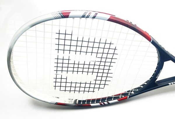 Wilson Fusion XL IMG 2699