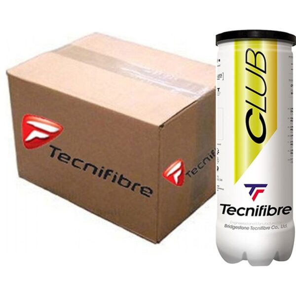 tecnifibre club balls carton 24 cans