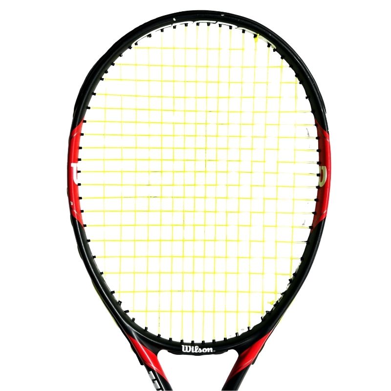 Wilson Federer Team 105 (1)