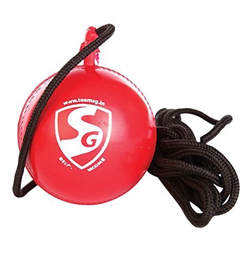SG Cricket IBall hanging Ball