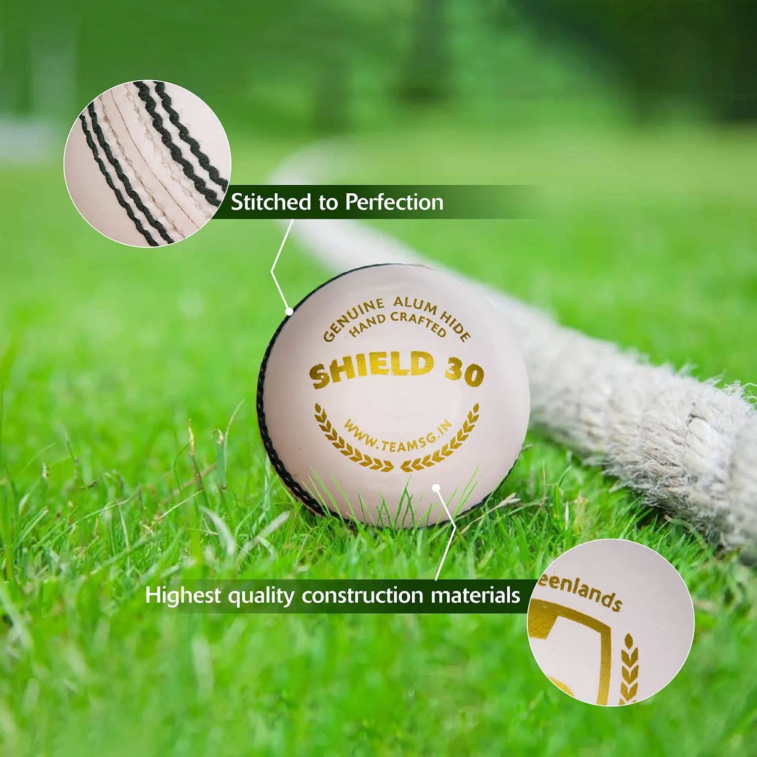 SG Shield 30 White Cricket Leather Ball
